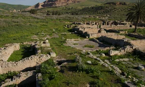 Portfolio Image